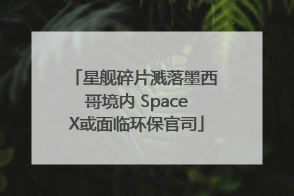 星舰碎片溅落墨西哥境内 SpaceX或面临环保官司