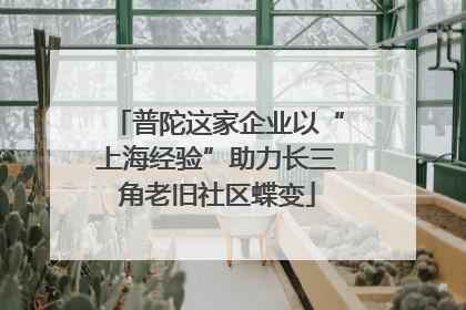 普陀这家企业以“上海经验”助力长三角老旧社区蝶变