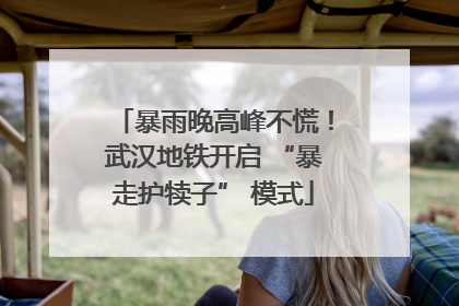 暴雨晚高峰不慌！武汉地铁开启 “暴走护犊子” 模式