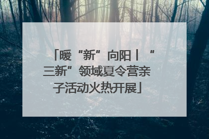 暖“新”向阳丨“三新”领域夏令营亲子活动火热开展