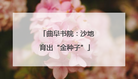 曲阜书院：沙地育出“金种子”