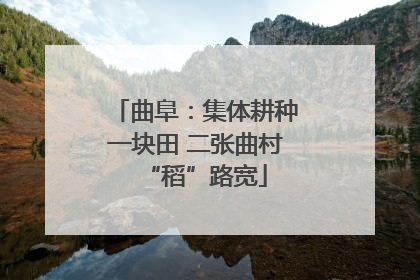 曲阜：集体耕种一块田 二张曲村“稻”路宽