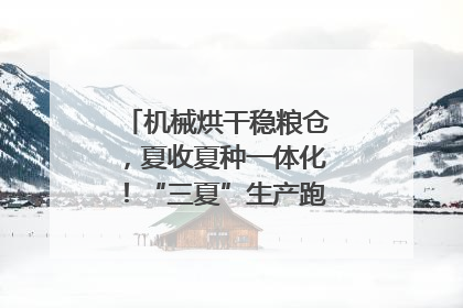 机械烘干稳粮仓，夏收夏种一体化！“三夏”生产跑出加速度｜麦报