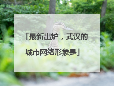 最新出炉，武汉的城市网络形象是