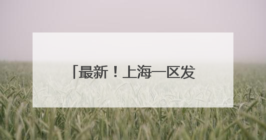 最新！上海一区发布人事任免信息