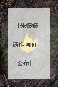 朱媛媛遗作画面公布