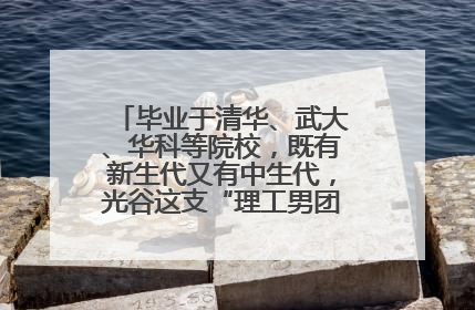 毕业于清华、武大、华科等院校，既有新生代又有中生代，光谷这支“理工男团”为何“出道”？