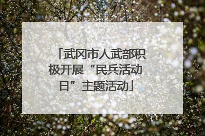武冈市人武部积极开展“民兵活动日”主题活动