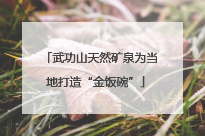 武功山天然矿泉为当地打造“金饭碗”