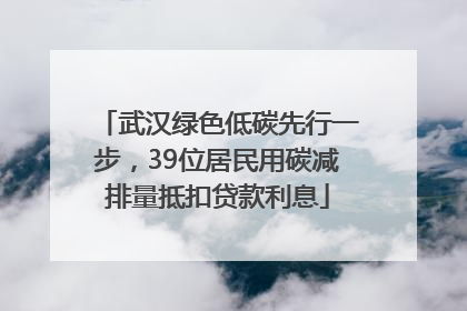 武汉绿色低碳先行一步，39位居民用碳减排量抵扣贷款利息