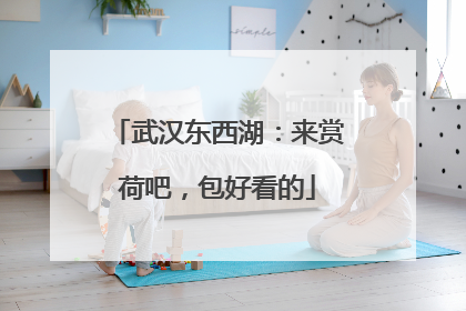 武汉东西湖：来赏荷吧，包好看的