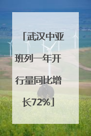 武汉中亚班列一年开行量同比增长72%