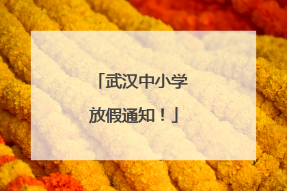 武汉中小学放假通知！