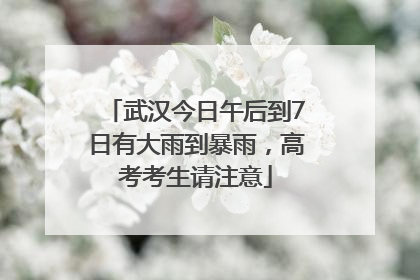 武汉今日午后到7日有大雨到暴雨，高考考生请注意