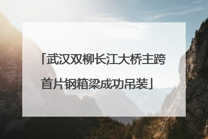 武汉双柳长江大桥主跨首片钢箱梁成功吊装