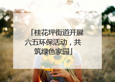 桂花坪街道开展六五环保活动，共筑绿色家园