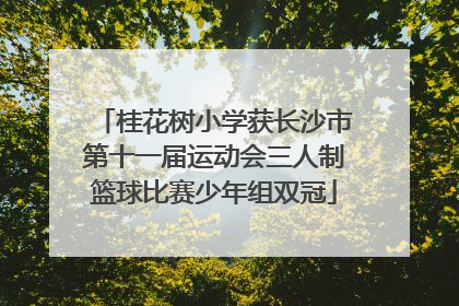桂花树小学获长沙市第十一届运动会三人制篮球比赛少年组双冠