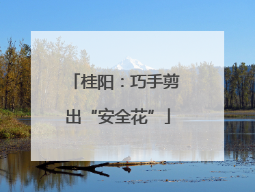 桂阳：巧手剪出“安全花”