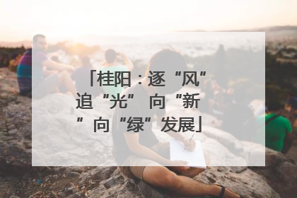 桂阳：逐“风”追“光” 向“新”向“绿”发展