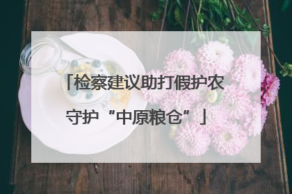 检察建议助打假护农守护“中原粮仓”