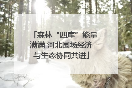 森林“四库”能量满满 河北围场经济与生态协同共进