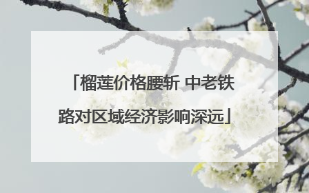 榴莲价格腰斩 中老铁路对区域经济影响深远