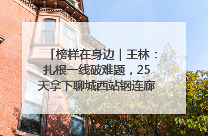 榜样在身边｜王林：扎根一线破难题，25天拿下聊城西站钢连廊“硬核”工程
