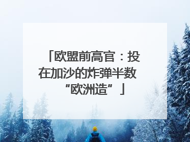 欧盟前高官：投在加沙的炸弹半数“欧洲造”