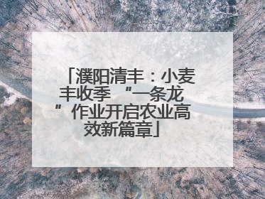 濮阳清丰：小麦丰收季 “一条龙”作业开启农业高效新篇章