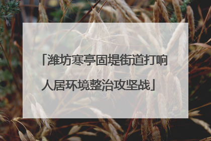 潍坊寒亭固堤街道打响人居环境整治攻坚战