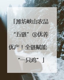 潍坊峡山农品“五链”③优养优产！全链赋能“一只鸡”