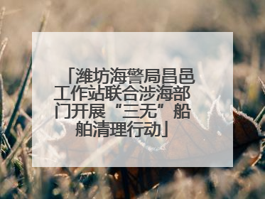 潍坊海警局昌邑工作站联合涉海部门开展“三无”船舶清理行动