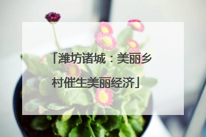 潍坊诸城：美丽乡村催生美丽经济
