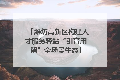 潍坊高新区构建人才服务驿站“引育用留”全场景生态