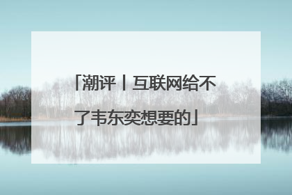 潮评丨互联网给不了韦东奕想要的