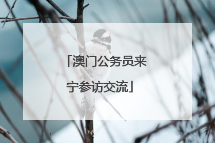 澳门公务员来宁参访交流