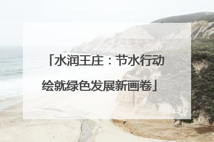 水润王庄：节水行动绘就绿色发展新画卷