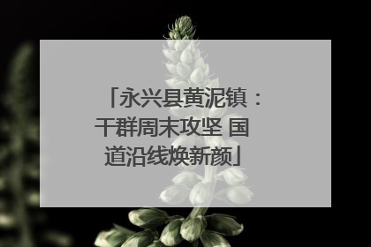 永兴县黄泥镇：干群周末攻坚 国道沿线焕新颜