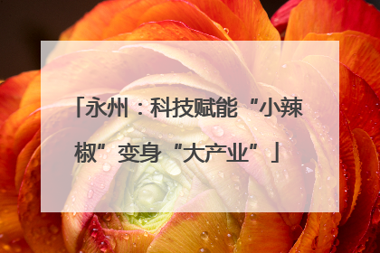 永州：科技赋能“小辣椒”变身“大产业”