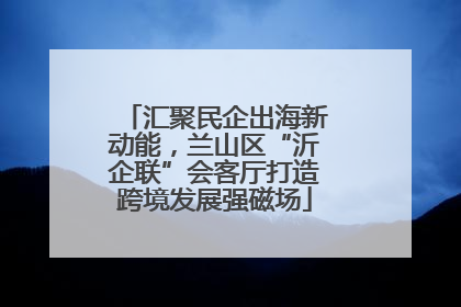 汇聚民企出海新动能，兰山区“沂企联”会客厅打造跨境发展强磁场