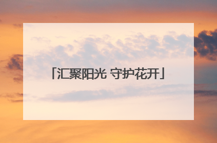 汇聚阳光 守护花开