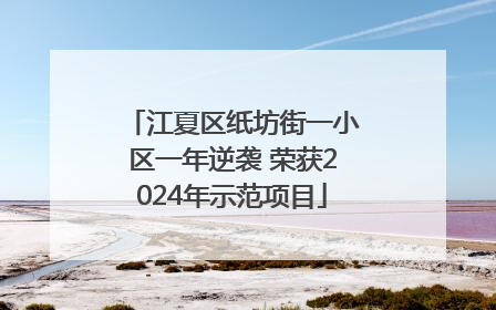 江夏区纸坊街一小区一年逆袭 荣获2024年示范项目