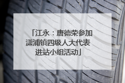江永：唐德荣参加潇浦镇四级人大代表进站小组活动