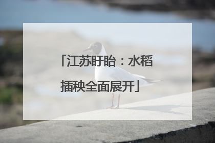 江苏盱眙：水稻插秧全面展开