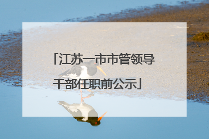 江苏一市市管领导干部任职前公示