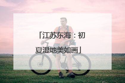 江苏东海：初夏湿地美如画