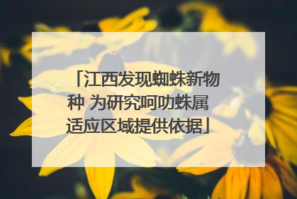 江西发现蜘蛛新物种 为研究呵叻蛛属适应区域提供依据