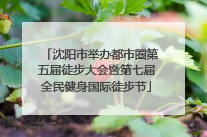 沈阳市举办都市圈第五届徒步大会暨第七届全民健身国际徒步节