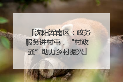 沈阳浑南区：政务服务进村屯，“村政通”助力乡村振兴