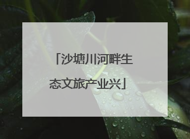 沙塘川河畔生态文旅产业兴